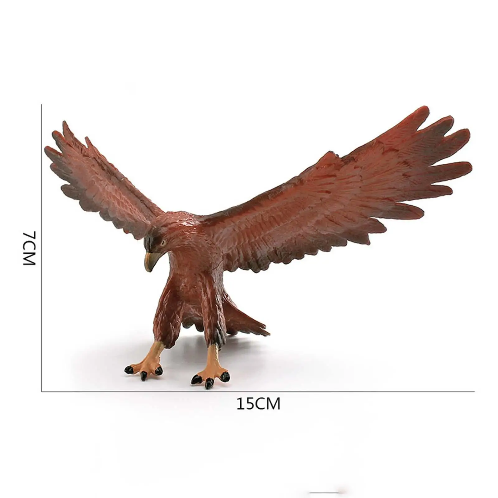 PVC Eagle Statue Model Realistic Bird Animal Decor Collectible Figurines Educational Toy for Living Room Desk