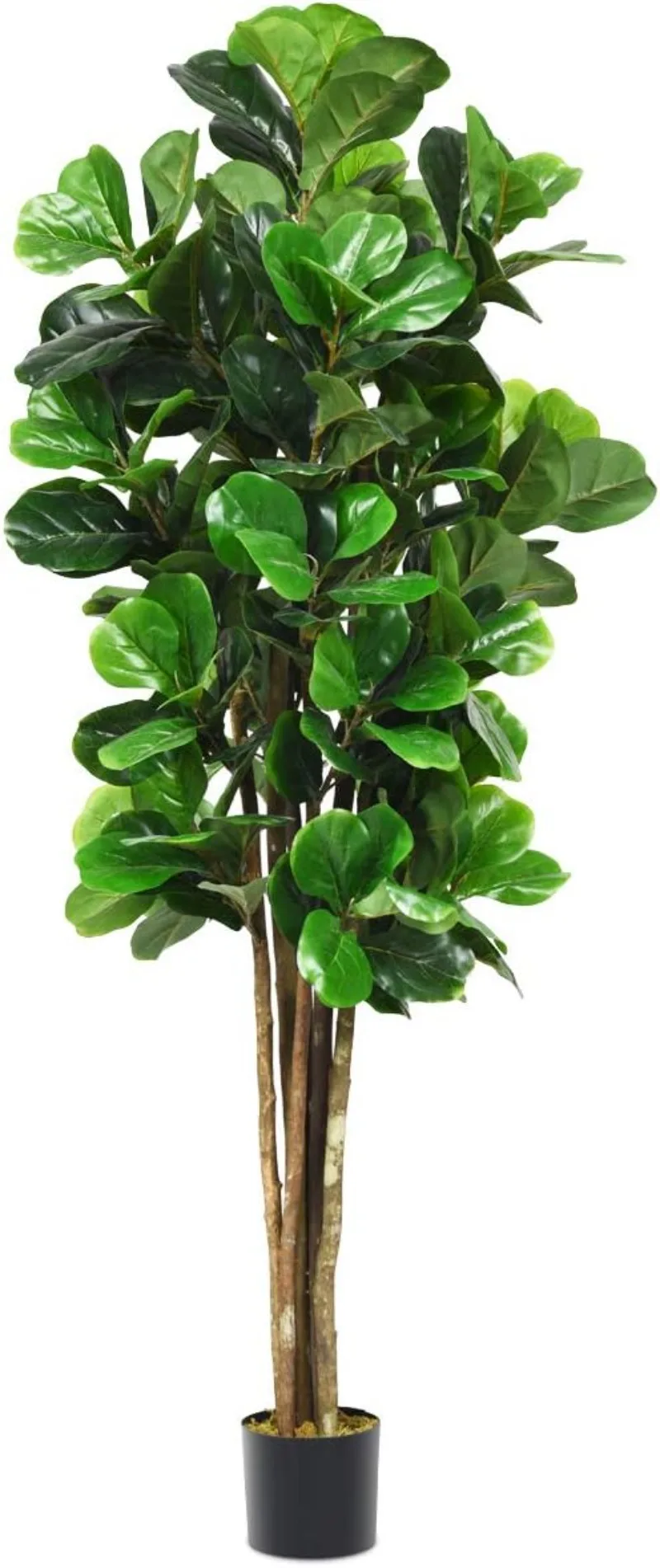 

Fake Fiddle Leaf Fig Tree, 6FT Tall Artificial Tree Greenery Plants in Pots, Decorative Faux Trees for Indoor Home Office