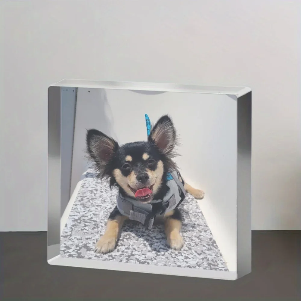 

Exquisite Custom Acrylic Pet Photo 3D Keepsake, Ideal for Desktop Decoration At Home, A Perfect Gift for Christmas & New Year.
