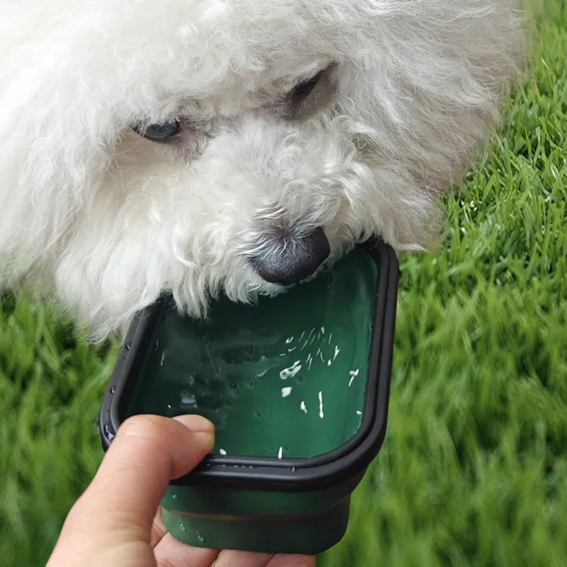 Collapsible Pet Bowl Foldable Travel Dog Bowl Portable Water Food Feeder Lightweight Outdoor Bowl for Small Medium Large