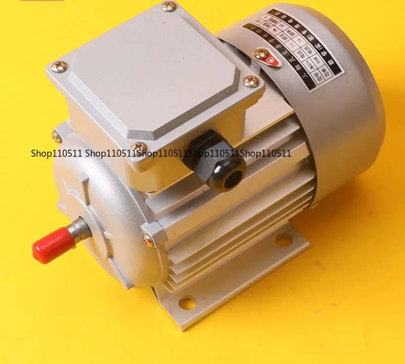 JW6314 24V36V three-phase asynchronous motor for teaching, squirrel cage experimental teaching aids and training equipment