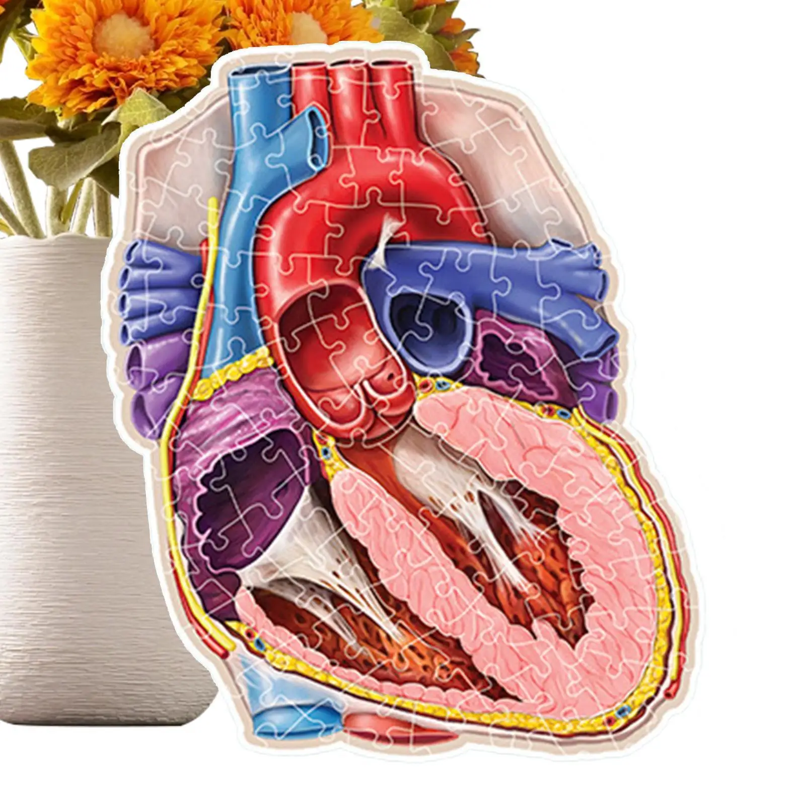 100 peças quebra-cabeças de cérebro humano inclinado modelo de anatomia do cérebro humano brinquedos educativos jogos científicos para adolescentes meninos meninas