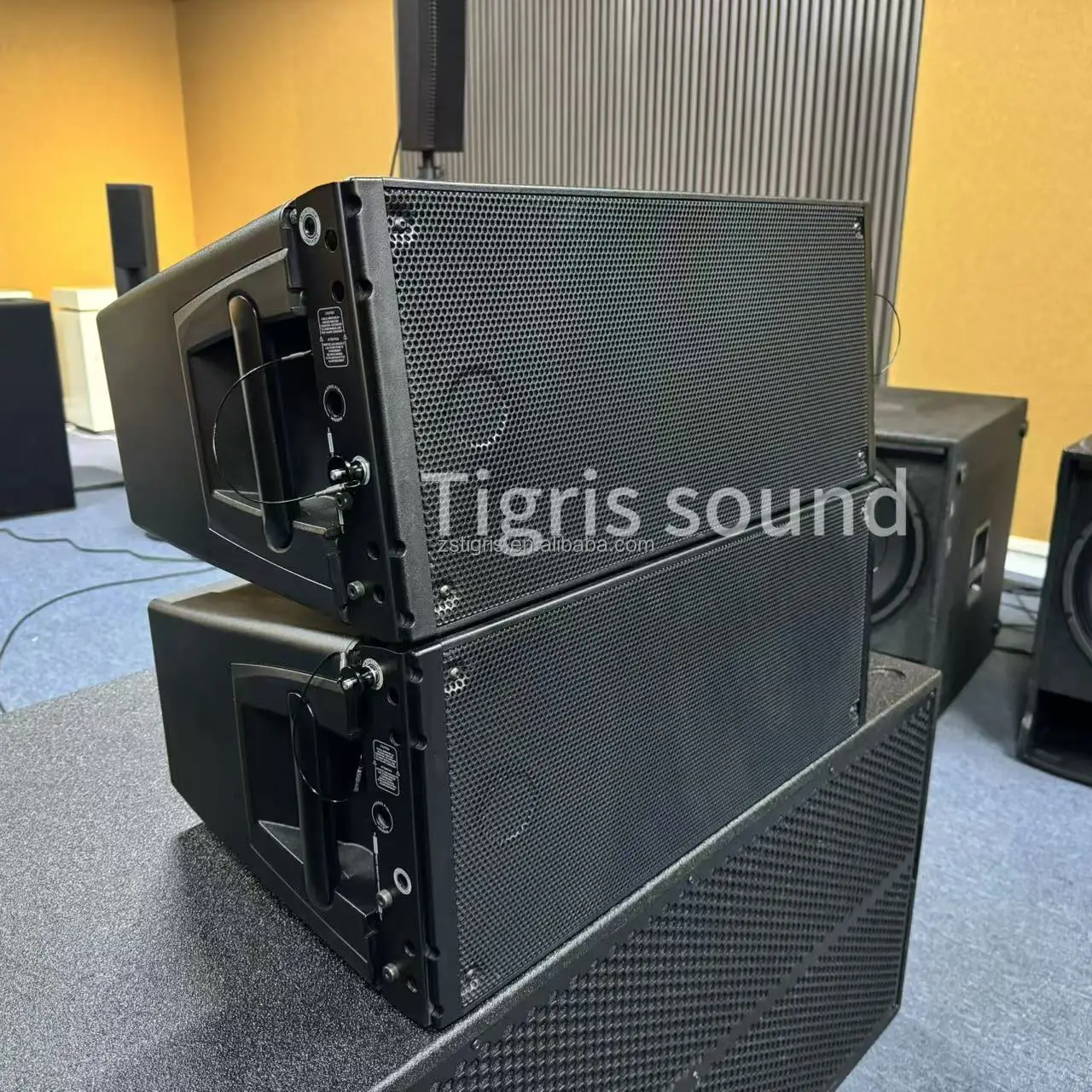 مكبر صوت Tigris Sound HDL 20A مزدوج 10 بوصة مصفوفة خطية نشطة تعمل بالطاقة Pa نظام الصوت Pro مكبرات صوت Rcf #2