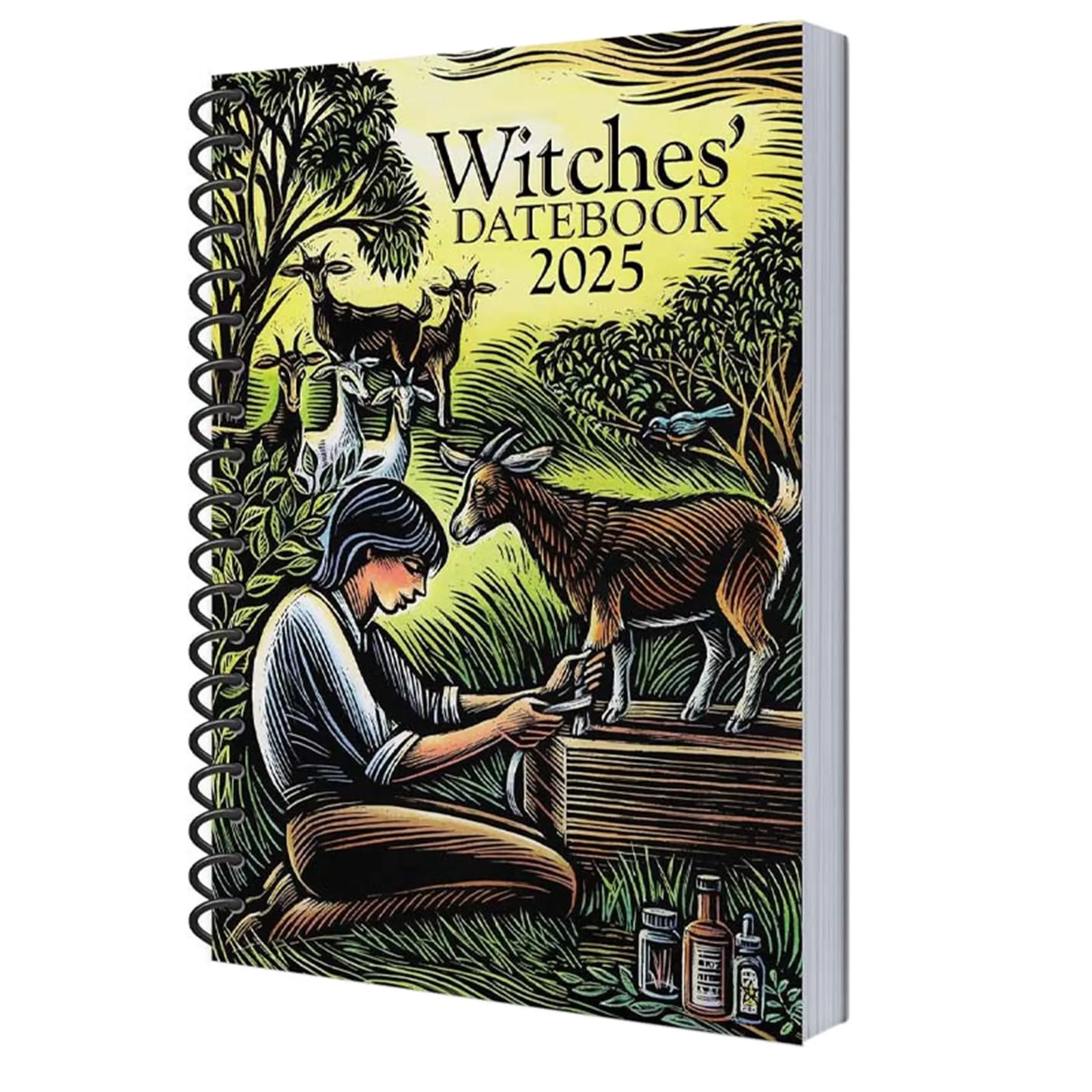 2025 Modern Witch's Grimoire Journal Beautiful Novelty Planner Weekly And Monthly 2025 Calendars Almanacs&Datebooks Witch's Book