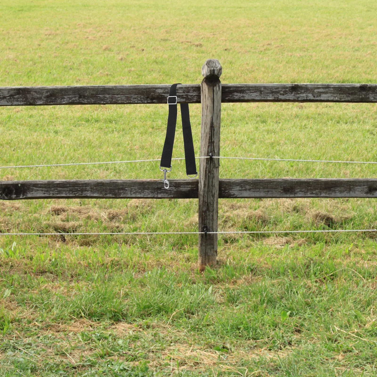 

Комплект из 3 регулируемых нейлоновых ремней для крепления ведер к конюшенным боксам и прицепам, для кормления и поения, надежные, для фермерских хозяйств