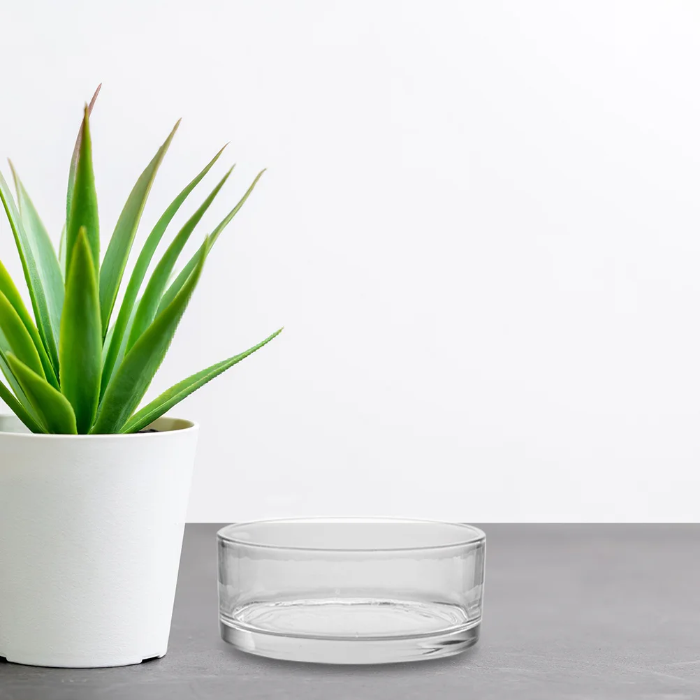 

Creative Desktop Decoration Plant Glass Planter Small Hydroponic Vase Terrarium Bowl Flower Pot