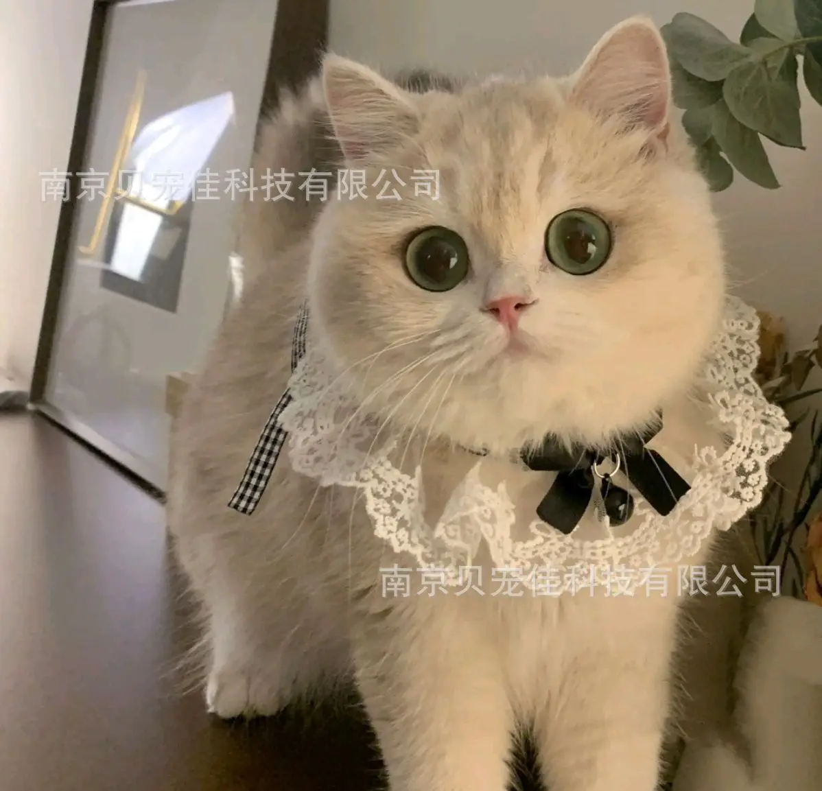 Cat Saliva Scarf Cat Accessories Dog Collar Pet Bows Tie Wool for Small Dog Necklace Satin New Kitten Puppy Accessories