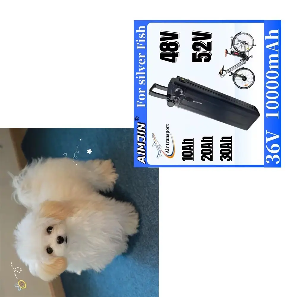 Lithium 36V 10AH 15AH 20AH Silver Fish Batterie Akku for 350W 500W 750W 1000W Li-ion Battery Pack