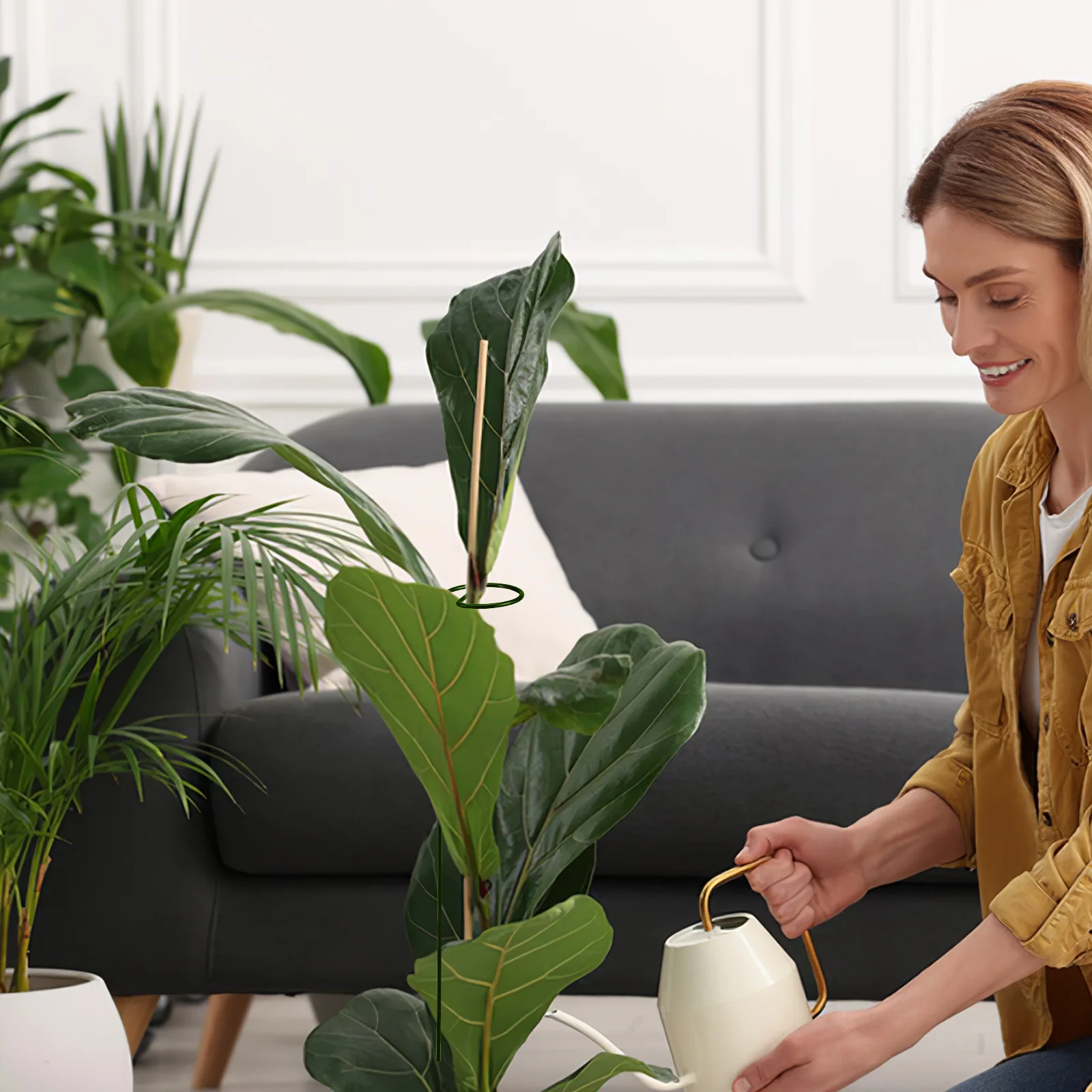 

6 Pcs Orchid Support Pile Plants Decorative Garden Stakes Potted Planting Trellis Ring Flower Cage Metal Stem