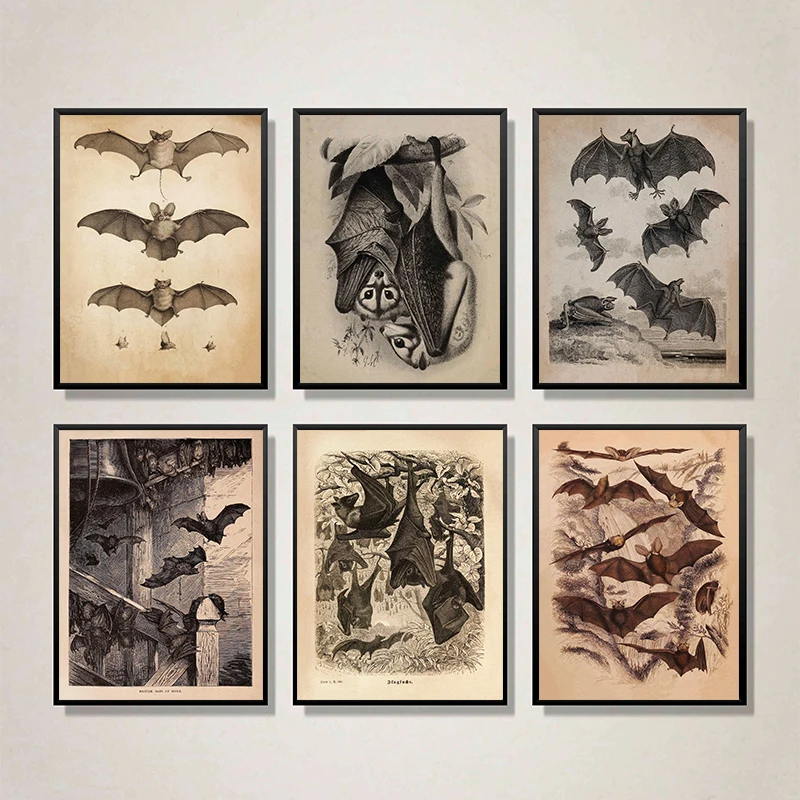 Vintage Bats Antiqu… - image