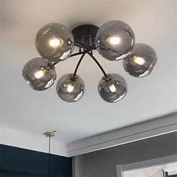 Modern Led Ceiling Lights Transparent Smoke Grey Glass Lampshade Design Black Gold Nordic Ceiling Lamp Bedroom Decoration Light