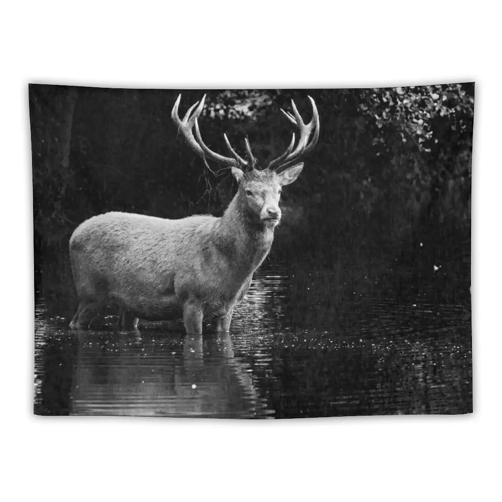 Deer Stag in River - Black and White Tapestry Wall Decor Home Decor Accessories Bedrooms Decor Tapestry