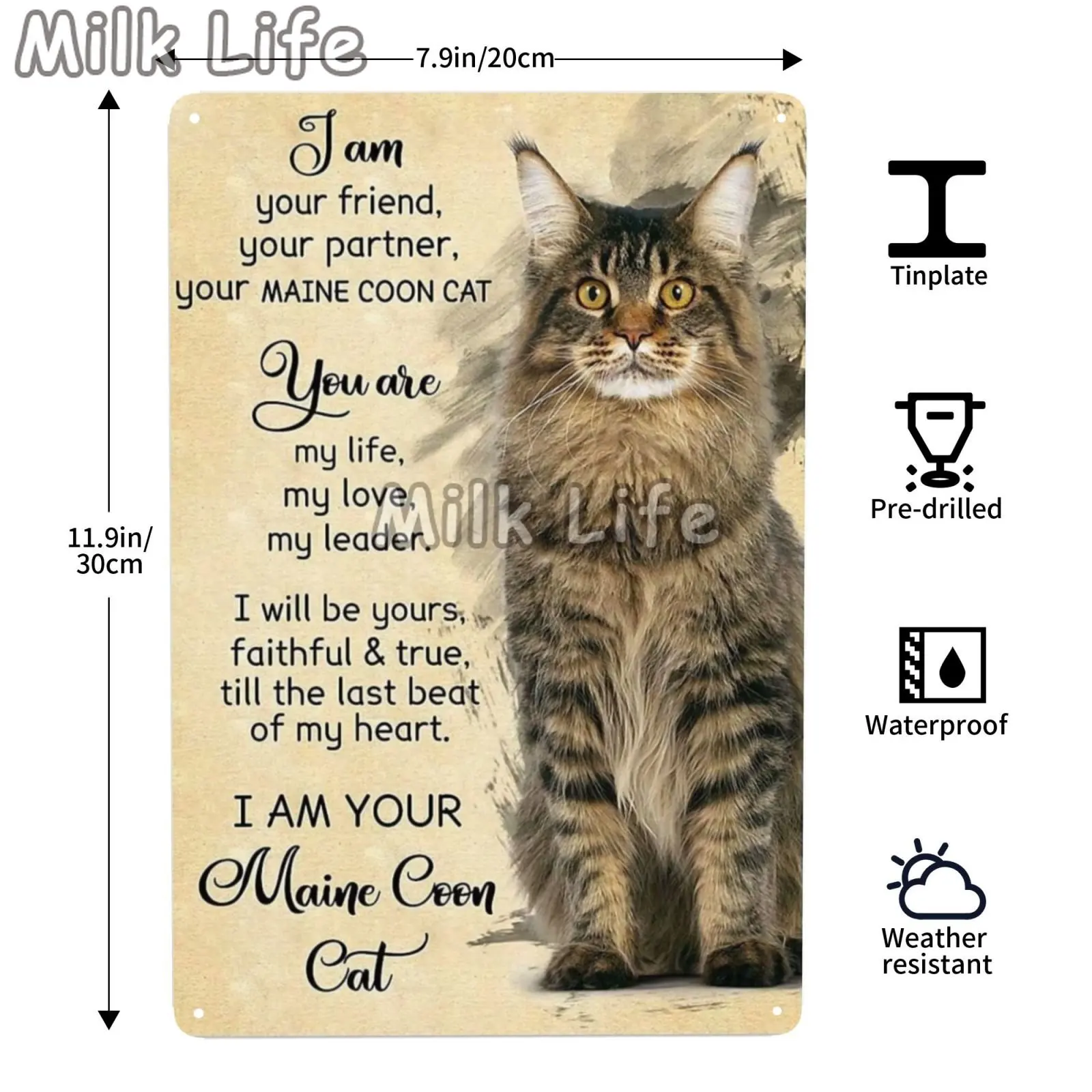 Maine Coon Cat Pet Store Decorations Art Wall Crafts Metal Plaque Poster Decoration Mural Plaques Tin Sign Posters 12x8 Inches