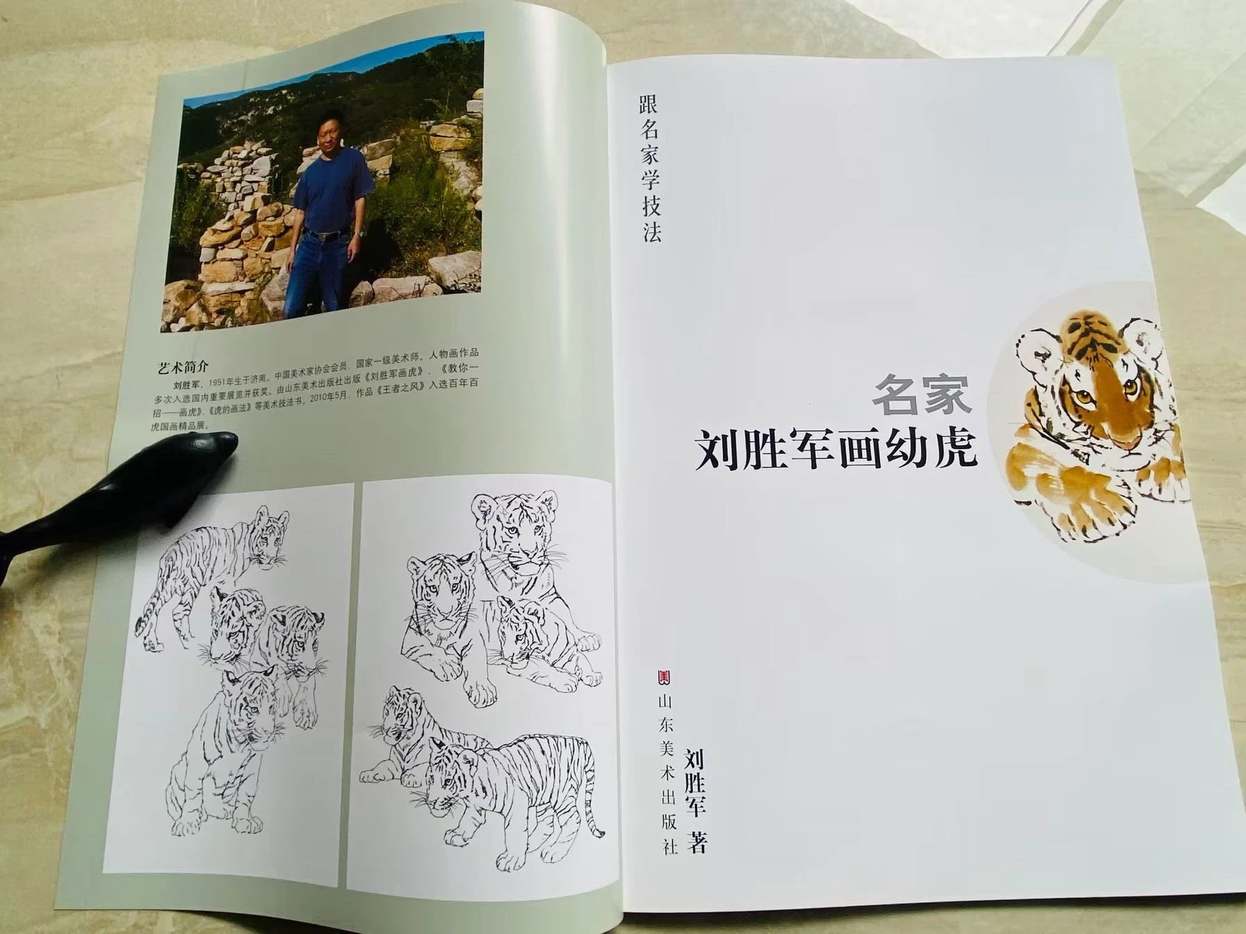 Chinese Painting Ink Brush Famous Artist Liu Shengjun Painting Tiger Cubs Reference Book