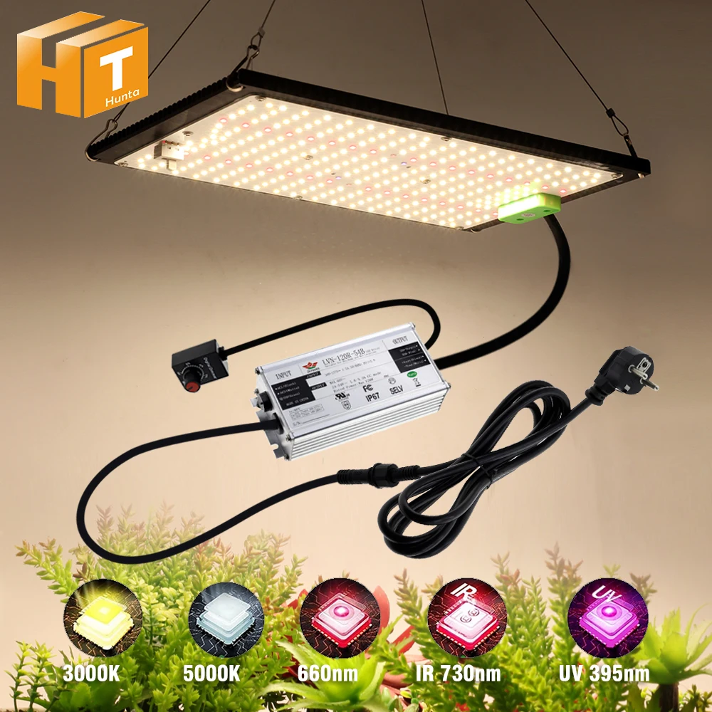 AC100-277V led wachsen licht 120w 240w lm301h für grüne pflanzen hohe helligkeit 288 stücke dimmbar für gemüse blumen