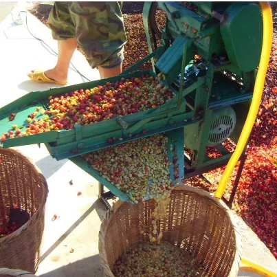 Top Sale Automatic Fresh Coffee Bean Pulping Shelling Peeling Machine