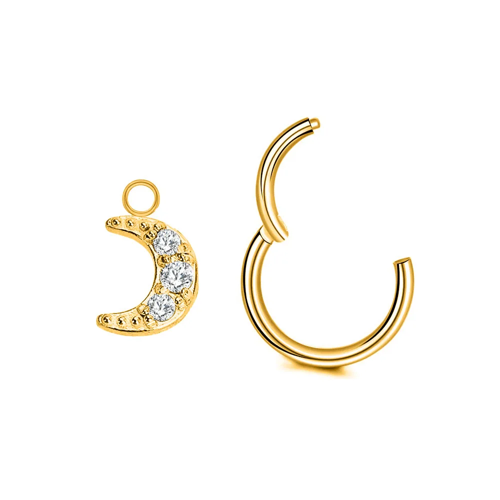 Flower Moon Cross Lightning Hoop Earring Teardrop Drop Daith Conch Clicker Segment Rings Marquise CZ Rook Jewelry 16G 18G 20G