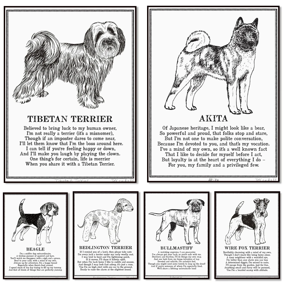 Tibetan terrier, Chow Chow, Old English sheepdog, Dachshund, Beagle, Whippet, Bedlington terrier animal poster home decoration
