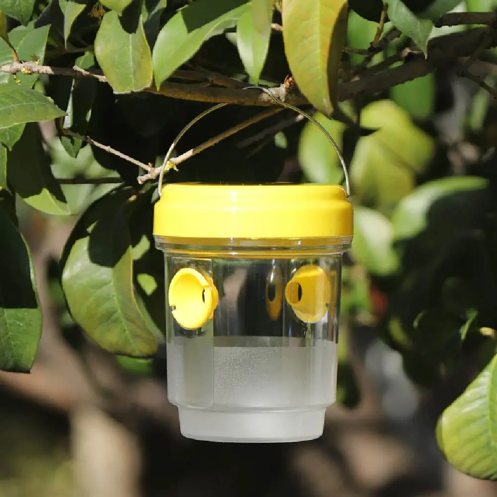 

Sustainable and reusable insect traps, suitable for monitoring pests in bees, vegetable gardens and orchards fly trap