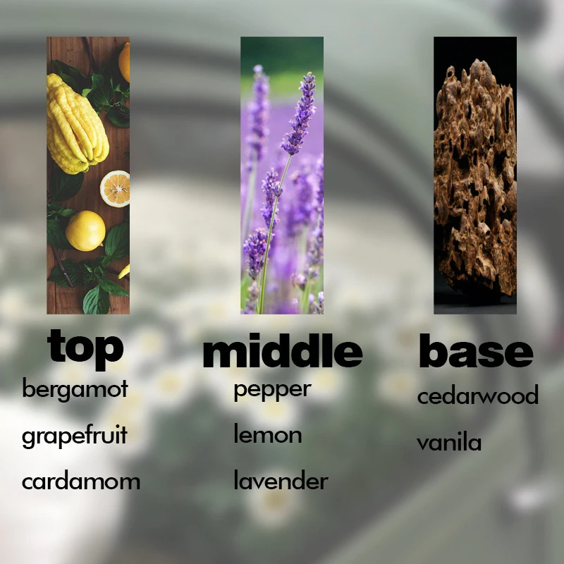 15ML Dubai Middle East Perfume Oil Long Lasting Light Fragrance Fresh Desert Flower Arabian Essential Oil Health Beauty