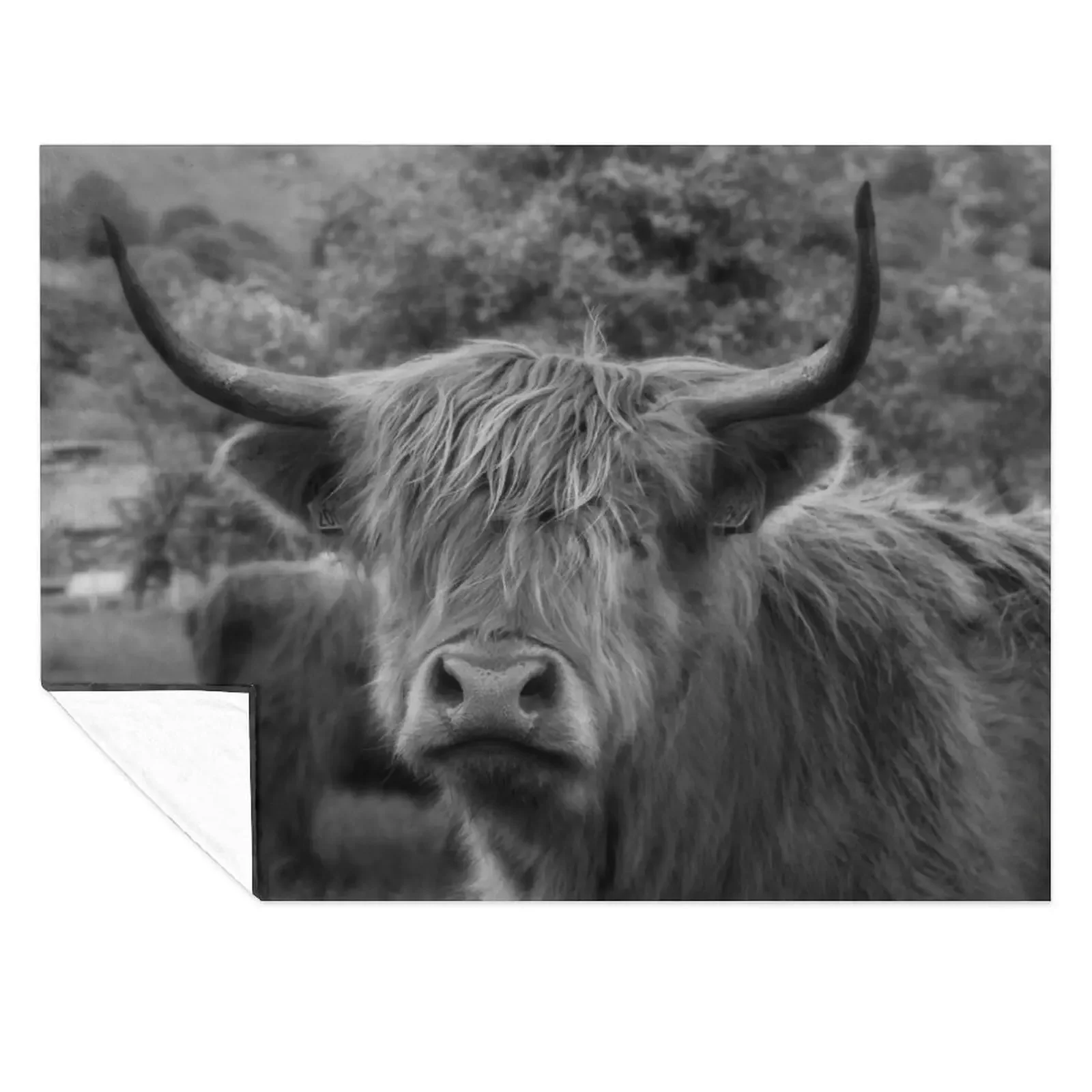 

Highland Cow Throw Blanket Plush Bed Fashionable anime manga Blankets