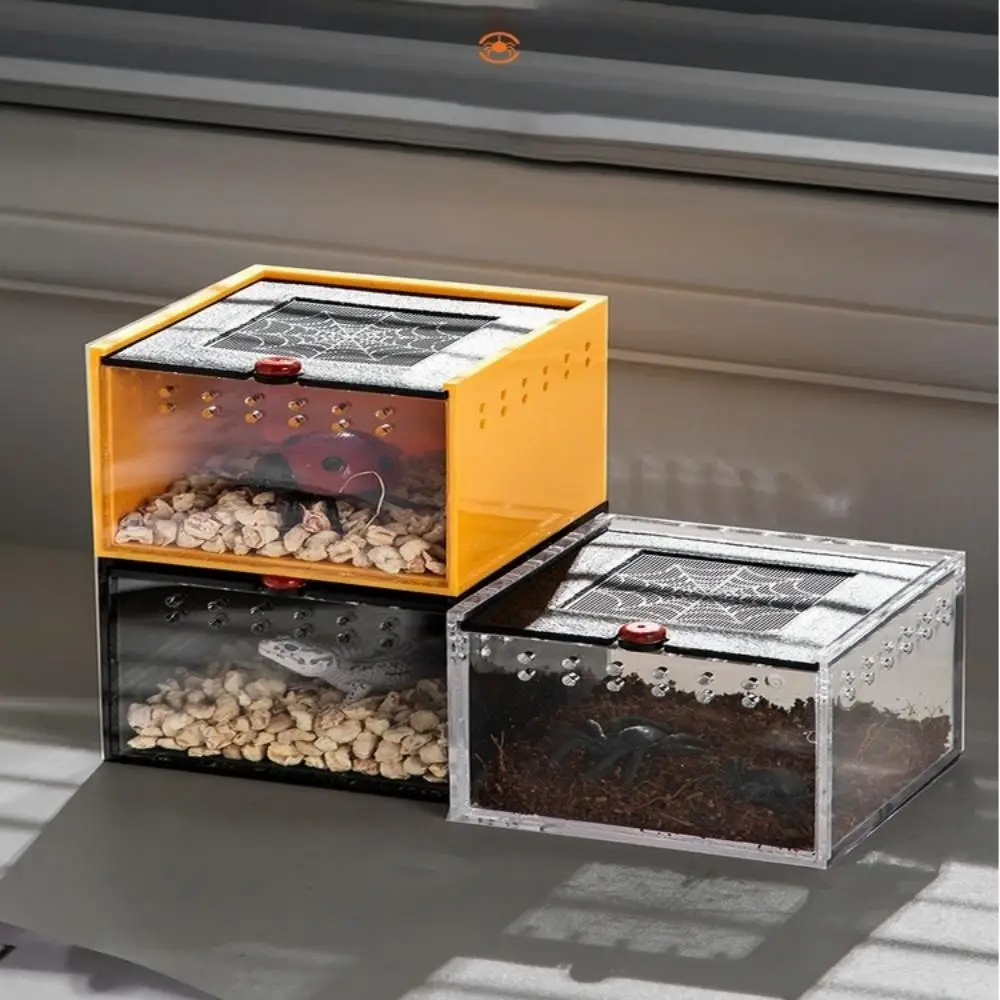 Caja de insectos de araña para mascotas, caja acrílica para reptiles, alimentación para mascotas, lagarto, escorpión, gusano de seda, bebé, unicornio, escarabajo, casa para mascotas