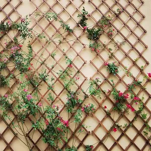 أفضل 10 مبيعات لتسلق الأشجار - رقم 2