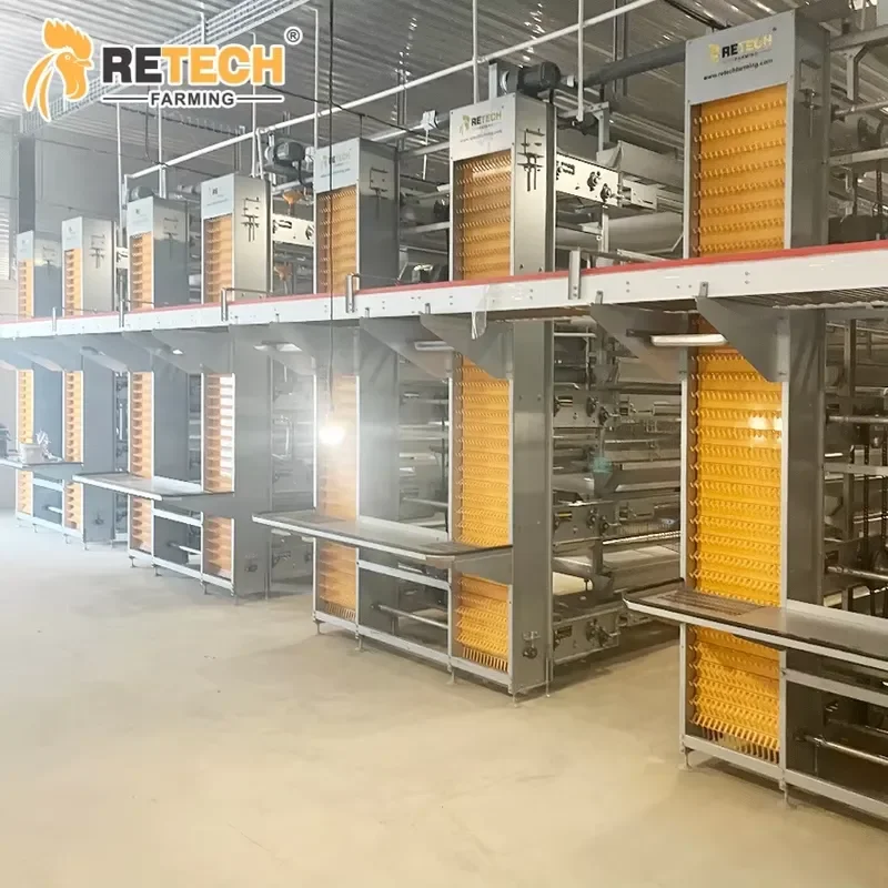 Automatic Egg Collecting Belt System H Type Hot Dip Galvanized 3-Tier Poultry Layer Battery Cage for Sale