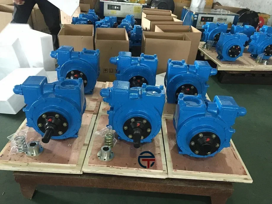 YB-100 Rotary Vane Pump Gasoline Fuel Diesel Positive Displacement Pumps