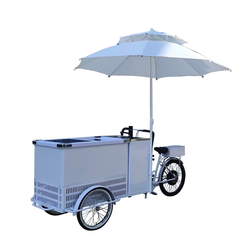 Outdoor Mobile Food Ice Cream Cart With Freezer Battery Powered Freezer Hot Dog Coffee Pizza Retail Mobile Mall Kiosk