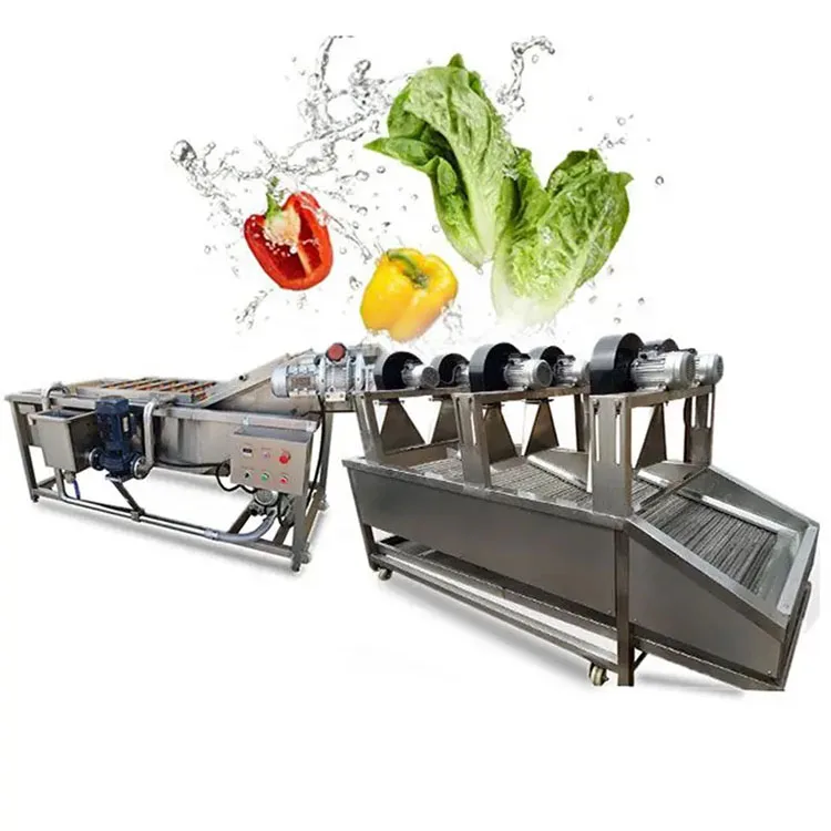 Customizable popularHigh Pressure Water Flow Vegetable Cleaning Machine Carrot Washing Machine Ginger Washer Dryer