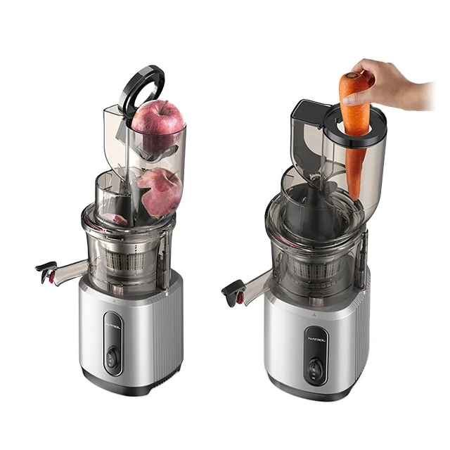 

Fashion Color Product Stainless Steel Screen Automatic Electric Fruit Pomegranate Slow Juicer