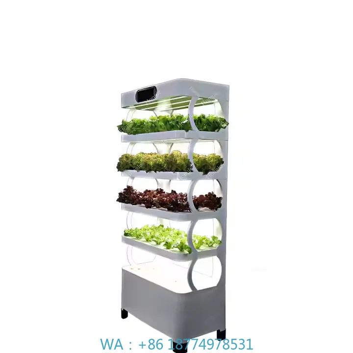 نظام النمو للخضروات الخضراء الورقية والحديقة المنزلية والنباتات الداخلية وخزانة الدفيئة المائية