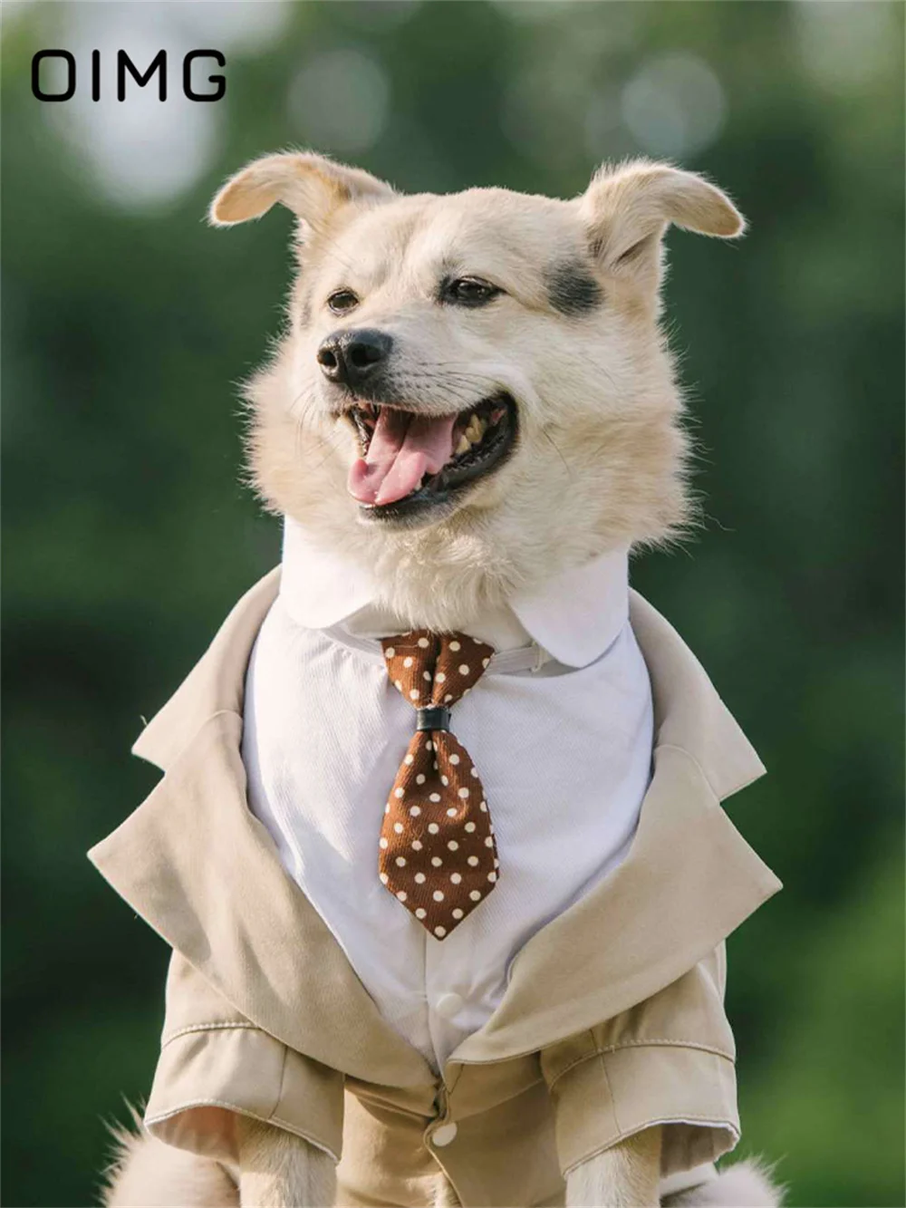 OIMG-Terno de duas peças falso cão com gravata, Pet Tailcoat, Cavalheiro de casamento, Corgi Shiba Inu, Border Collie, cães grandes