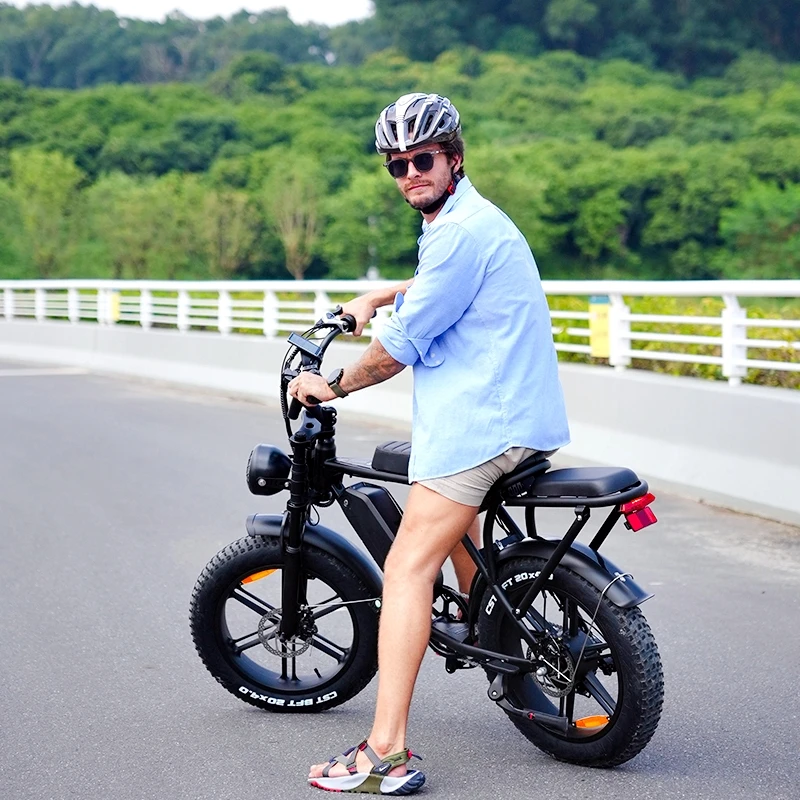 Double batteries electric fat tire bike 1000w China manufacturer  removable battery electric bicycle fatbike