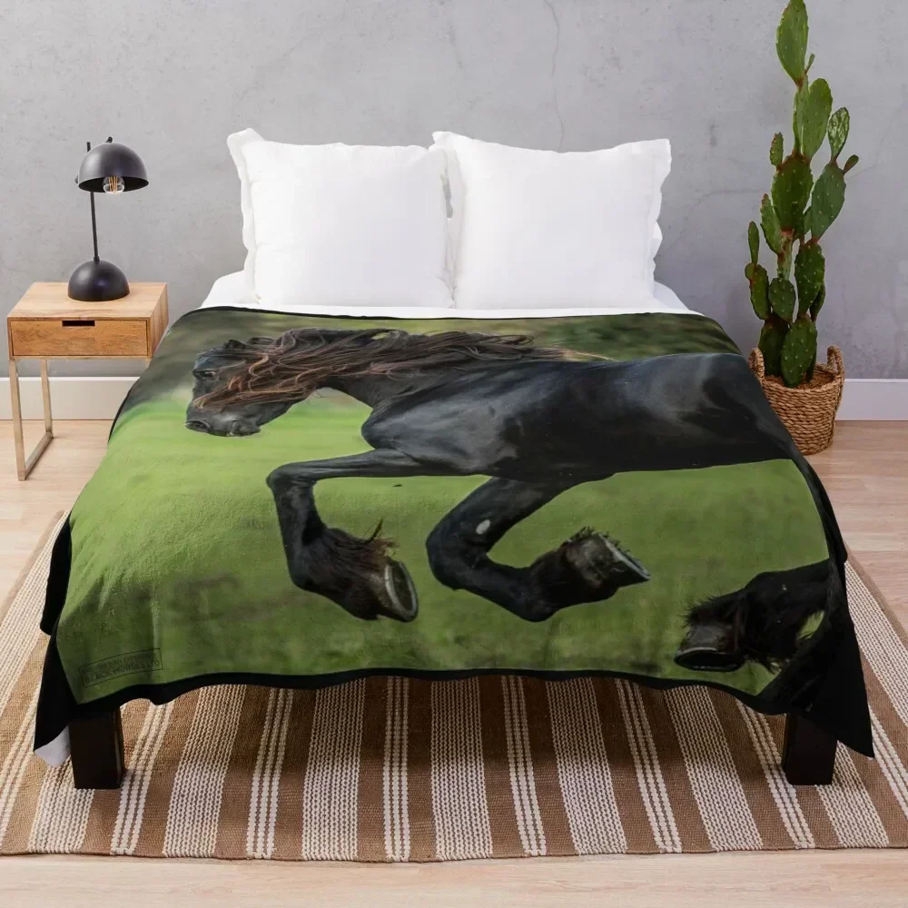 

The Friesian Experience - Beautiful Black Beauty Friesian Horses Throw Blanket Spring Fall Cozy Throw Blanket for Couch