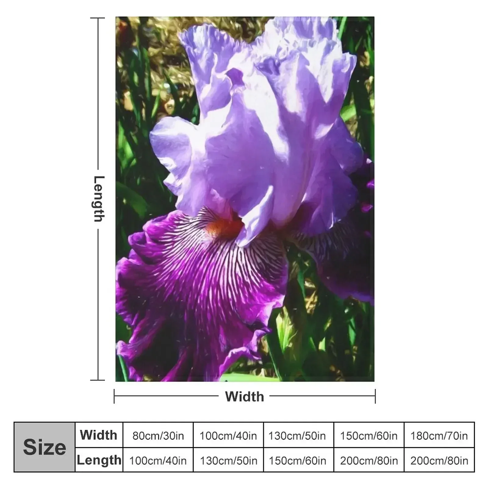 New Painterly Blue & Purple Bearded Iris 4794 Throw Blanket Bed Designers Camping Comforter Thins Beautifuls Blankets