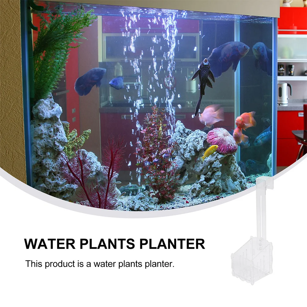 

2Pcs Acrylic Aquatic Plant Holders Hook Design Smooth Mouth Aquarium Fish Tank Landscape Planter Pot Durable Reusable