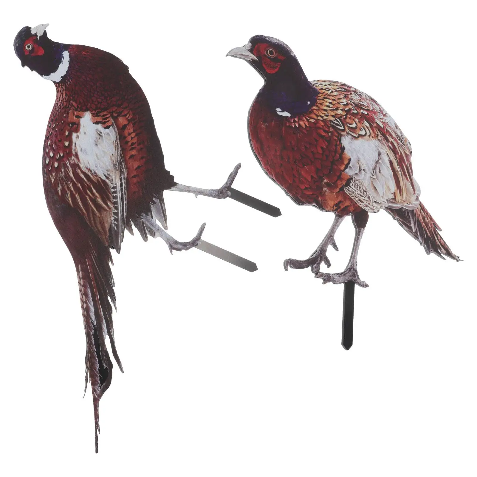 

2Pcs Pheasant Stake Pheasant Decor Chicken Acrylic Garden nament Realistic Design Garden Accessory Outdoor Adornment Courtyard