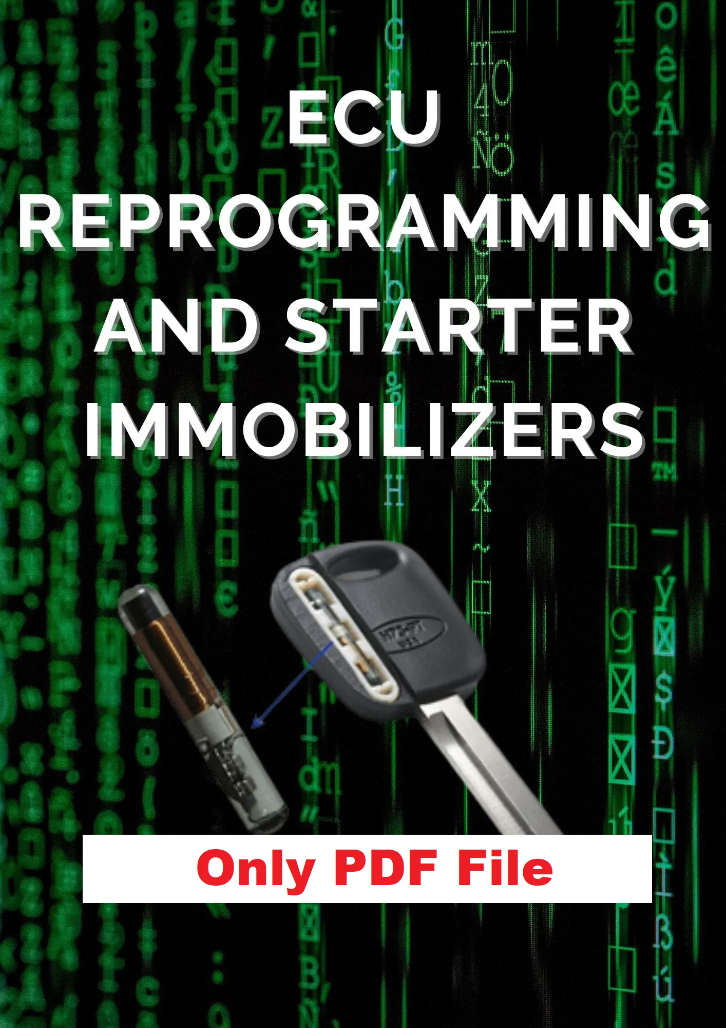 ECU Reprogramming And Starting Immobilizers Auto Vehicle Engine Control Module Programming Service PDF