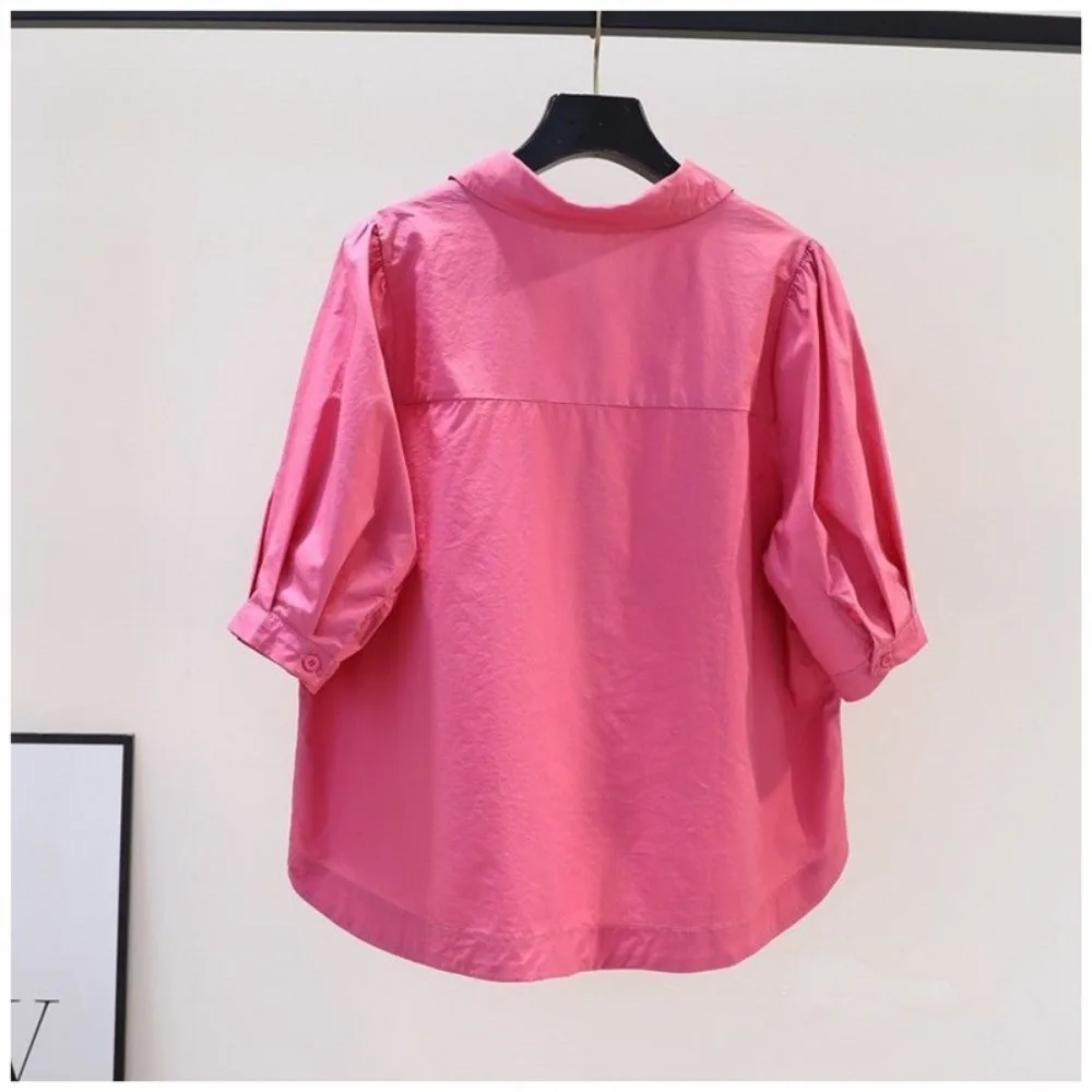 Blusa de chiffon monocromática feminina, camisas de lazer, tops, estilo coreano, roupas elegantes