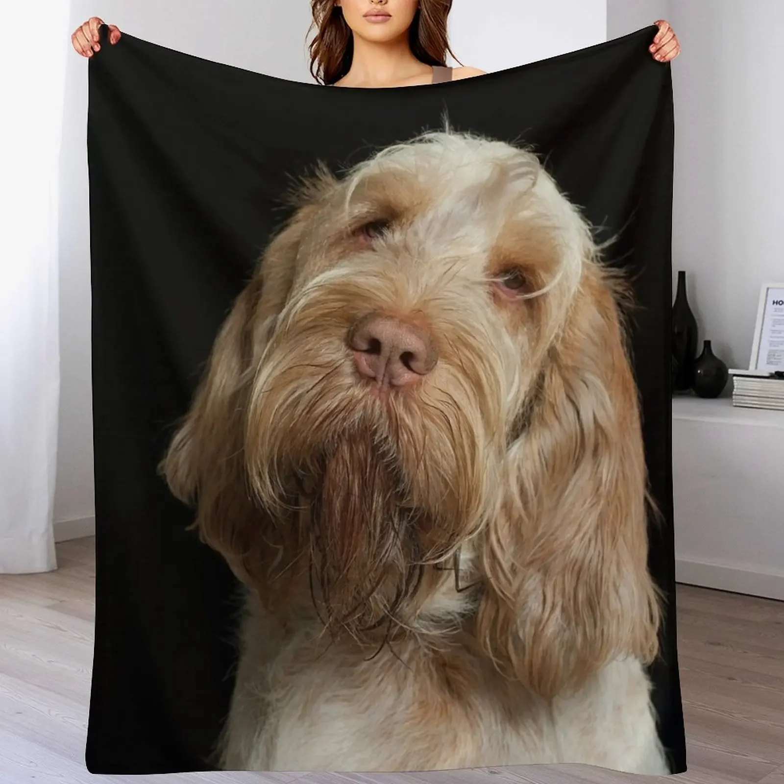 Head tilt Spinone Throw Blanket Warm Comfortable Blanket for Office Napping