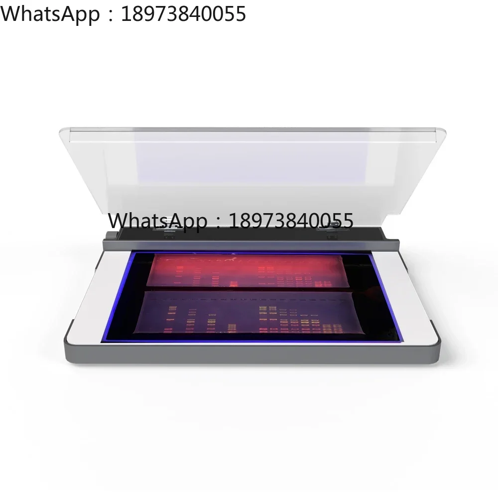 

-LED UV transilluminators view DNA or RNA electrophoresis agarose gel-