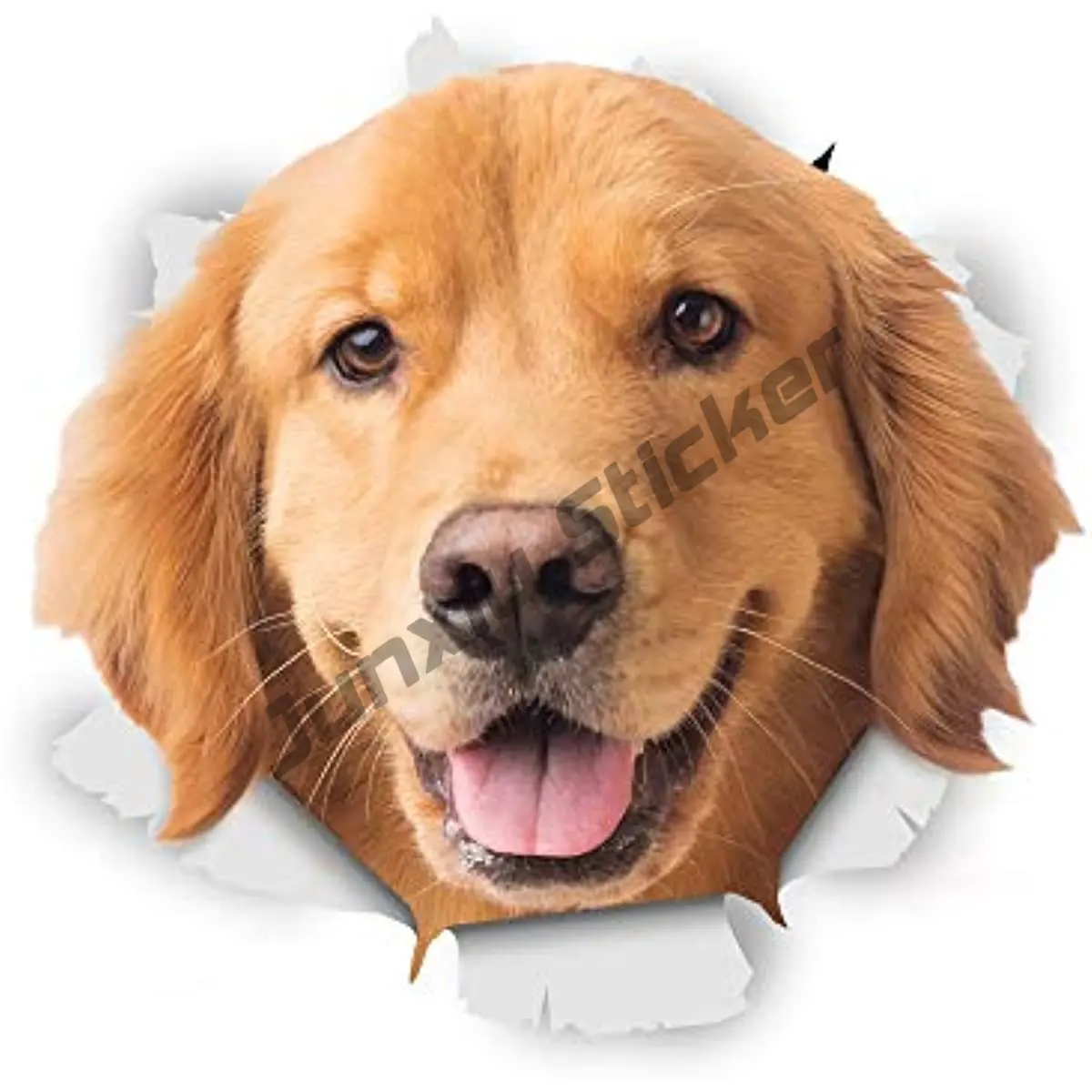 Interesting Dog Stickers Peeking 3D Labrador Shepherd Chihuahua Black Sausage Dog Walls Refrigerators Etc Cartoon Stickers