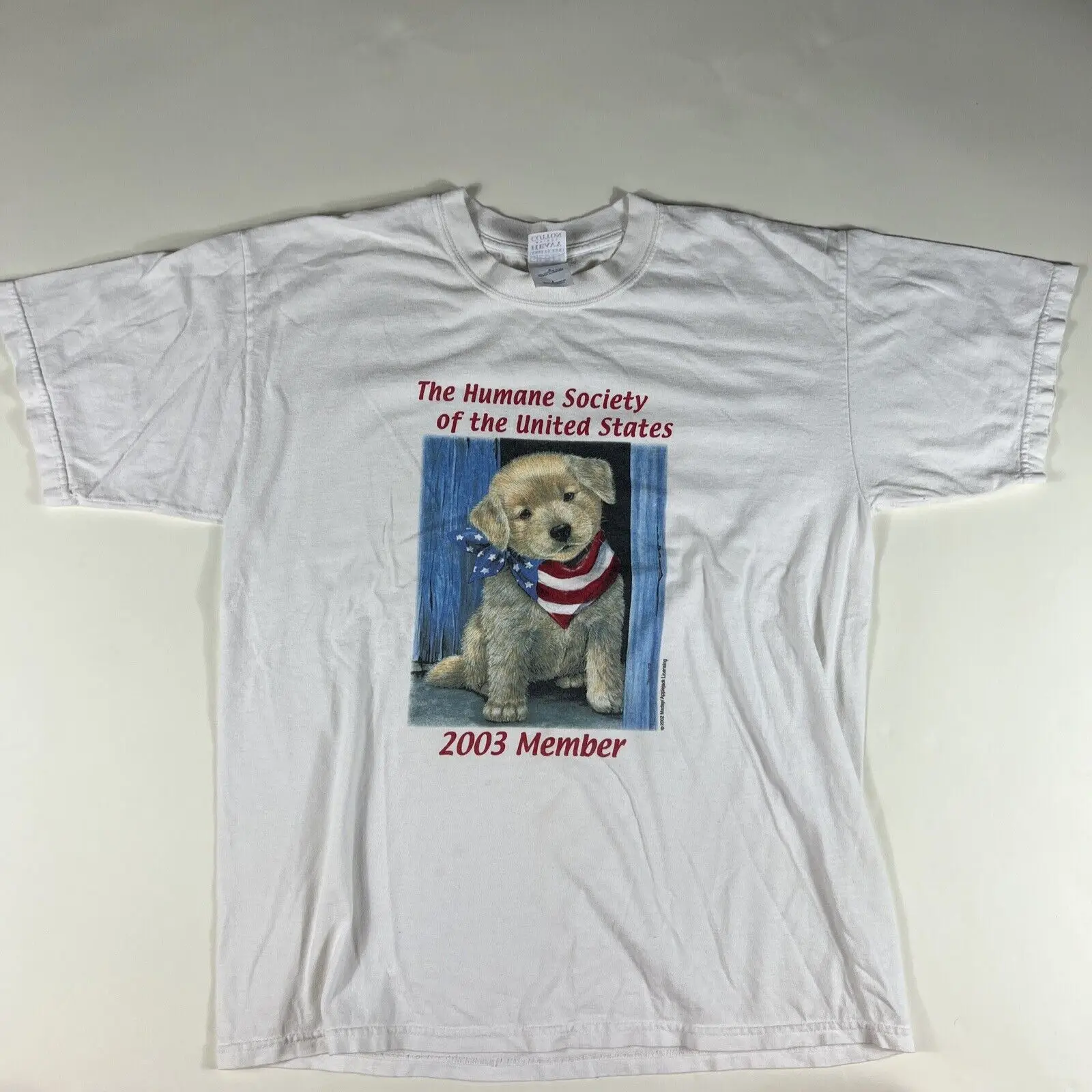 Vintage 2002 The Humane Society T Shirt L United States 2003 Member