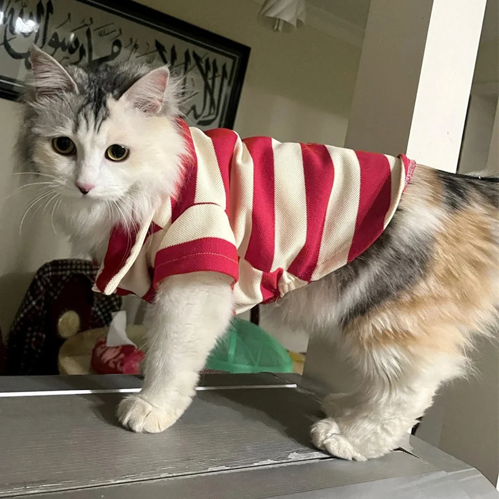 Fashion Cat Puppy Striped Polo Shirt Autumn Summer Pet Clothes for Small Dogs Cats Thick/Thin Stripes Kitten Pullover Outfits