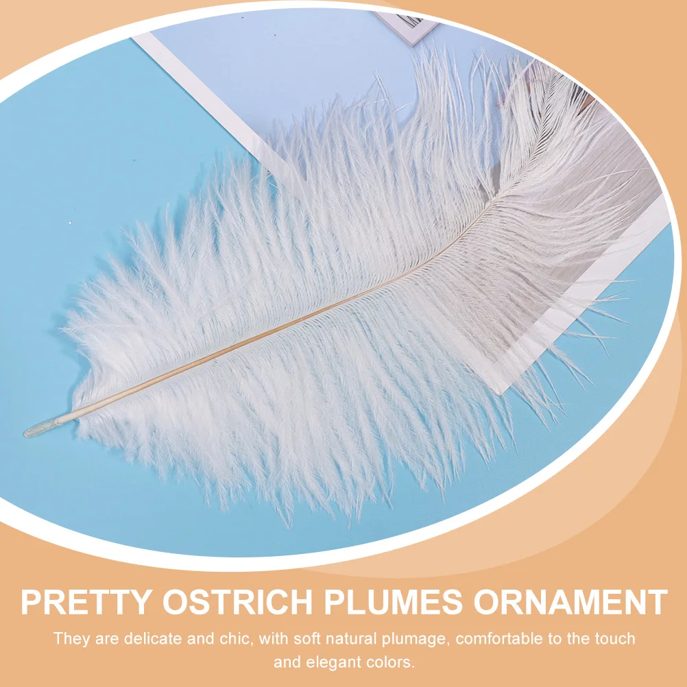 

20pcs Decorative Ostrich Plumes Soft Natural Wedding Party Decoration Diy Crafts Home Decor Mask Making Millinery White