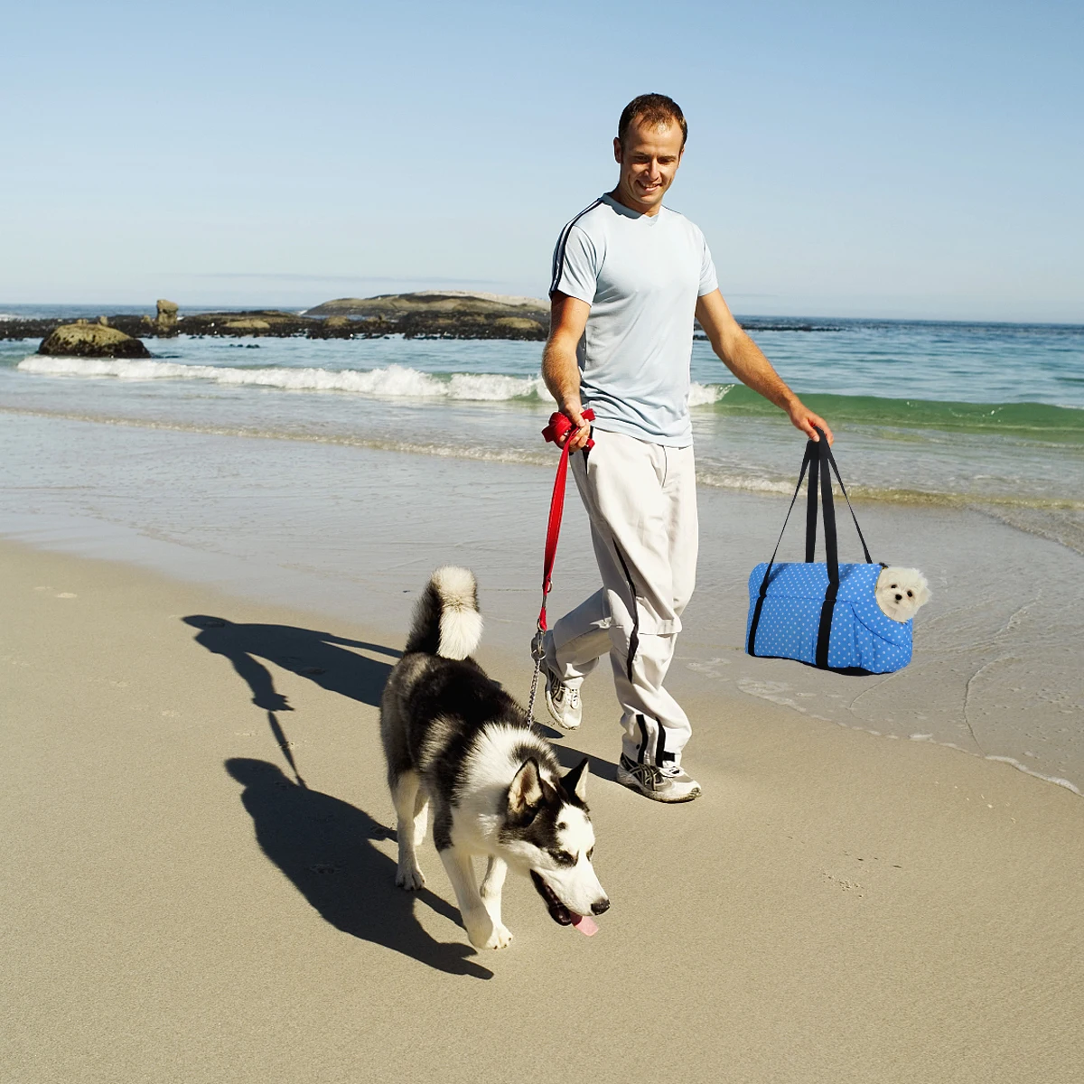 

Pet Backpack Dog Carry Pouch Puppy Carrying Carriers for Small Dogs Bags Medium