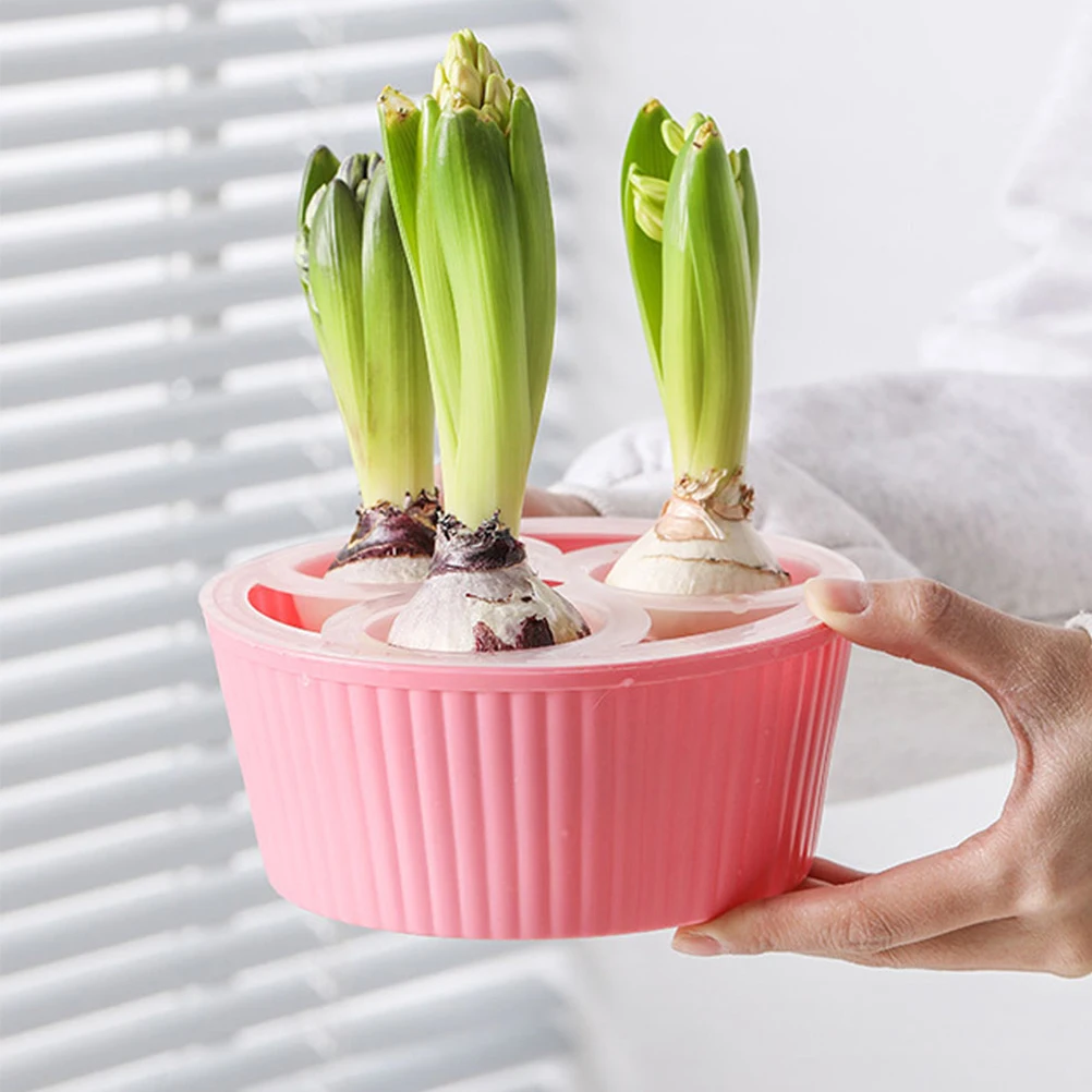 

2Pcs Hydroponic for Tulip Mini Plastic Hydroponic Small Succulent Pots Pot Planter Small Flower Pots Supplies