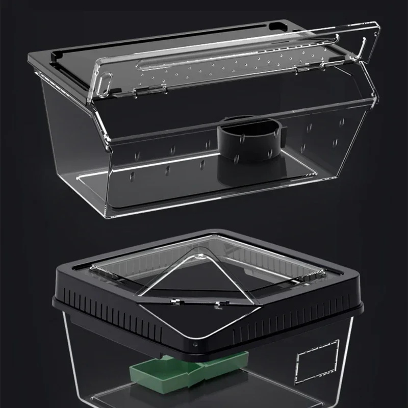 Reptile Habitat Terrarium Breeding Box Transparent Acrylic Anti-escape Feeding Box with Thermometer for Lizard Scorpion Spider